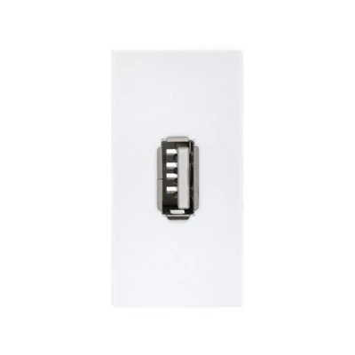 Presa de dades USB 2.0